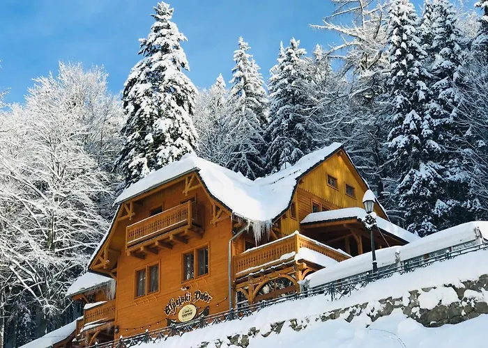 Pensjonat Alpejski Dwór